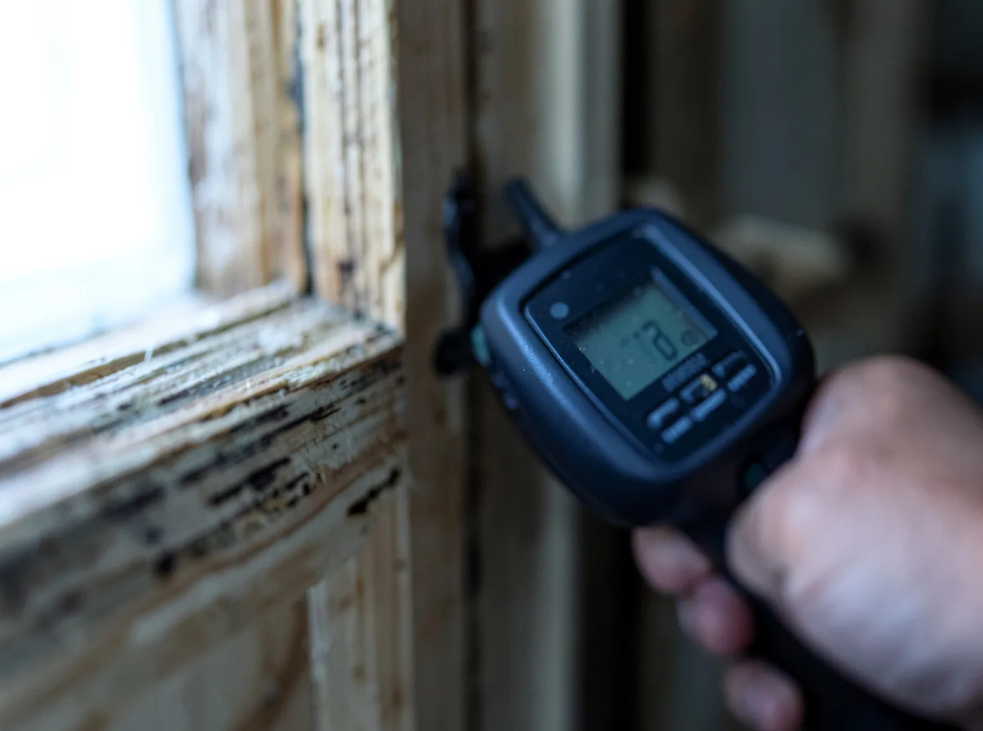 Moisture Inspection And Documentation in Jefferson City, TN